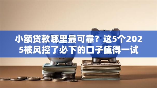 小额贷款哪里最可靠？这5个2025被风控了必下的口子值得一试