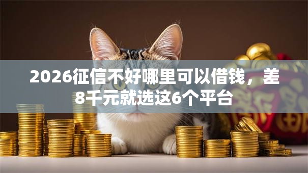 2026征信不好哪里可以借钱，差8千元就选这6个平台