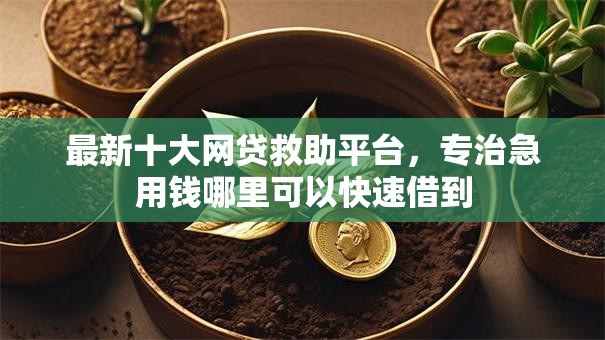 最新十大网贷救助平台，专治急用钱哪里可以快速借到