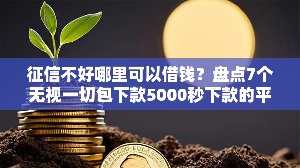 征信不好哪里可以借钱？盘点7个无视一切包下款5000秒下款的平台给你参考