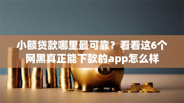 小额贷款哪里最可靠？看看这6个网黑真正能下款的app怎么样
