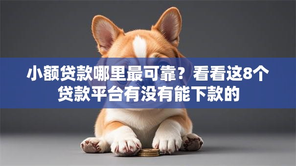小额贷款哪里最可靠?看看这8个贷款平台有没有能下款的 小额贷款哪里最可靠?看看这8个贷款平台有没有能下款的