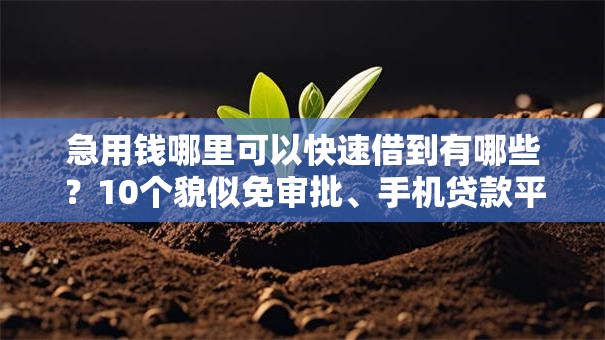 急用钱哪里可以快速借到有哪些?10个貌似免审批、手机贷款平台合集 急用钱哪里可以快速借到有哪些?10个貌似免审批、手机贷款平台合集