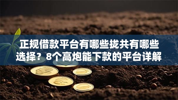 正规借款平台有哪些拢共有哪些选择？8个高炮能下款的平台详解
