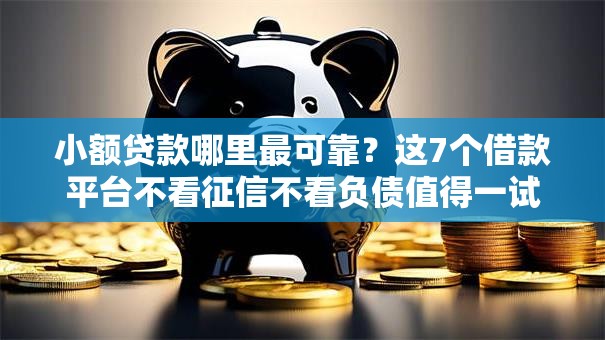 小额贷款哪里最可靠?这7个借款平台不看征信不看负债值得一试 小额贷款哪里最可靠?这7个借款平台不看征信不看负债值得一试