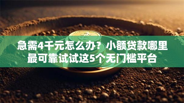 急需4千元怎么办?小额贷款哪里最可靠试试这5个无门槛平台 急需4千元怎么办?小额贷款哪里最可靠试试这5个无门槛平台