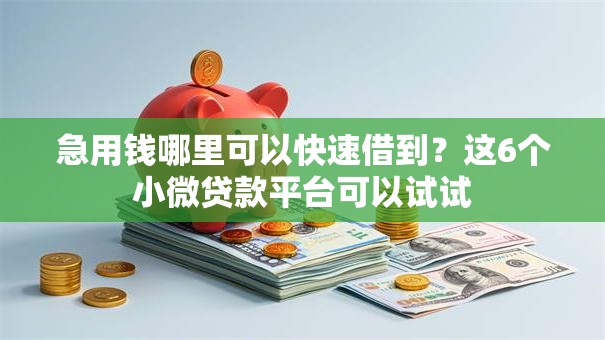 急用钱哪里可以快速借到？这6个小微贷款平台可以试试