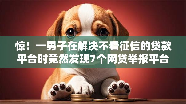 惊！一男子在解决不看征信的贷款平台时竟然发现7个网贷举报平台，事后分享了出来