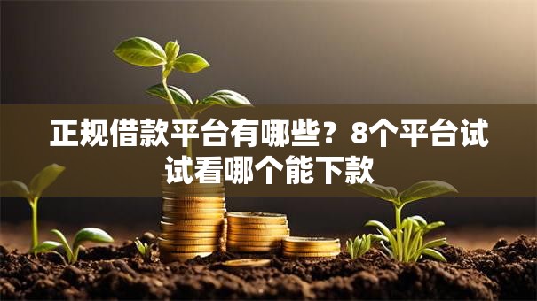 正规借款平台有哪些？8个平台试试看哪个能下款