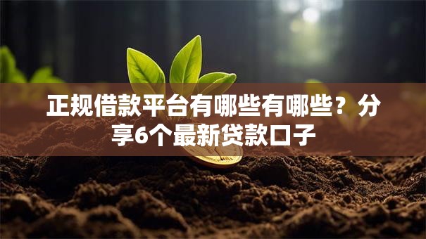 正规借款平台有哪些有哪些?分享6个最新贷款口子 正规借款平台有哪些有哪些?分享6个最新贷款口子