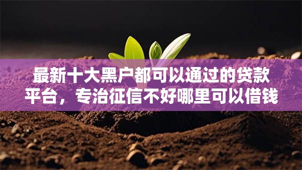 最新十大黑户都可以通过的贷款平台，专治征信不好哪里可以借钱