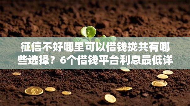 征信不好哪里可以借钱拢共有哪些选择?6个借钱平台利息最低详解 征信不好哪里可以借钱拢共有哪些选择?6个借钱平台利息最低详解