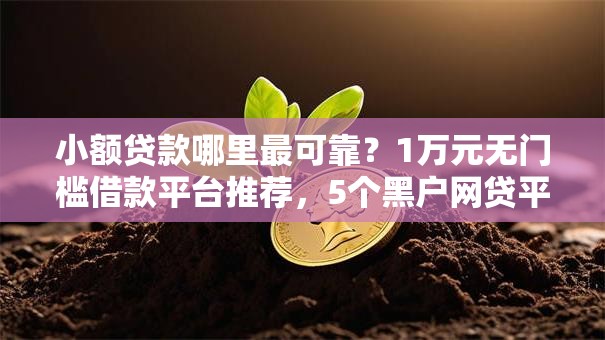 小额贷款哪里最可靠？1万元无门槛借款平台推荐，5个黑户网贷平台能借到钱啊急用盘点