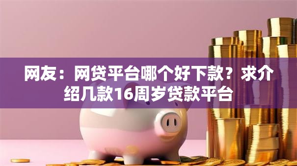 网友：网贷平台哪个好下款？求介绍几款16周岁贷款平台