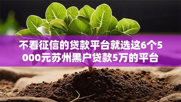 不看征信的贷款平台就选这6个5000元苏州黑户贷款5万的平台 不看征信的贷款平台就选这6个5000元苏州黑户贷款5万的平台