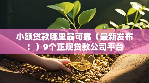 小额贷款哪里最可靠（最新发布！）9个正规贷款公司平台