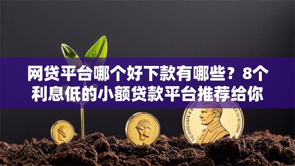 网贷平台哪个好下款有哪些?8个利息低的小额贷款平台推荐给你 网贷平台哪个好下款有哪些?8个利息低的小额贷款平台推荐给你
