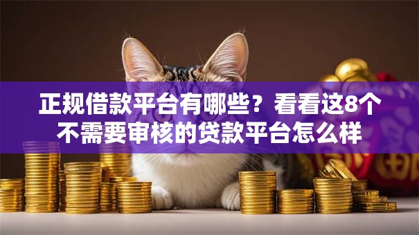 正规借款平台有哪些?看看这8个不需要审核的贷款平台怎么样 正规借款平台有哪些?看看这8个不需要审核的贷款平台怎么样