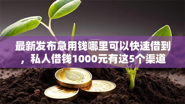 最新发布急用钱哪里可以快速借到，私人借钱1000元有这5个渠道