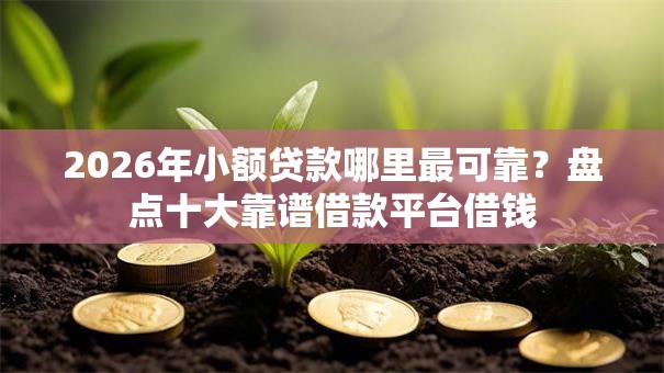 2026年小额贷款哪里最可靠?盘点十大靠谱借款平台借钱 2026年小额贷款哪里最可靠?盘点十大靠谱借款平台借钱