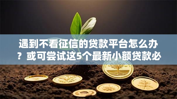 遇到不看征信的贷款平台怎么办？或可尝试这5个最新小额贷款必下口子