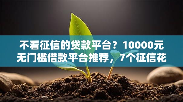 不看征信的贷款平台？10000元无门槛借款平台推荐，7个征信花了还可以借钱的平台盘点
