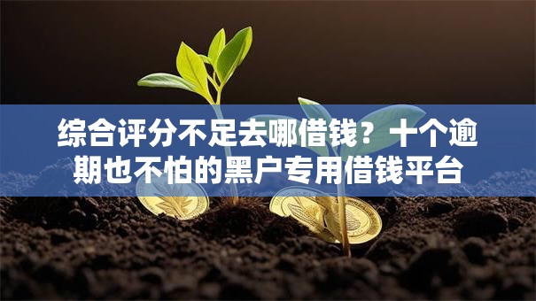 综合评分不足去哪借钱?十个逾期也不怕的黑户专用借钱平台 综合评分不足去哪借钱?十个逾期也不怕的黑户专用借钱平台