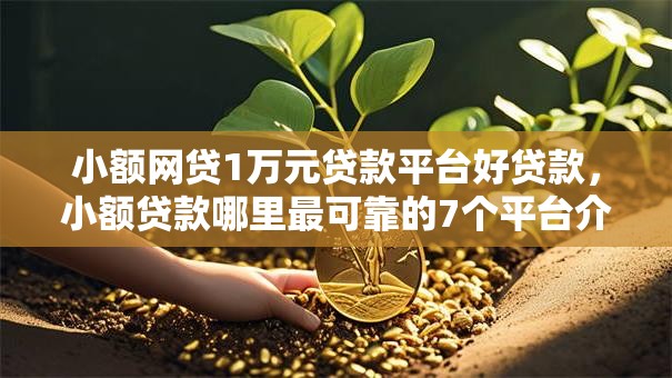 小额网贷1万元贷款平台好贷款,小额贷款哪里最可靠的7个平台介绍 小额网贷1万元贷款平台好贷款,小额贷款哪里最可靠的7个平台介绍