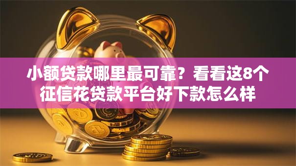 小额贷款哪里最可靠？看看这8个征信花贷款平台好下款怎么样