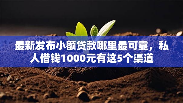 最新发布小额贷款哪里最可靠,私人借钱1000元有这5个渠道 最新发布小额贷款哪里最可靠,私人借钱1000元有这5个渠道