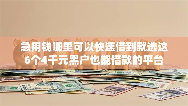 急用钱哪里可以快速借到就选这6个4千元黑户也能借款的平台 急用钱哪里可以快速借到就选这6个4千元黑户也能借款的平台