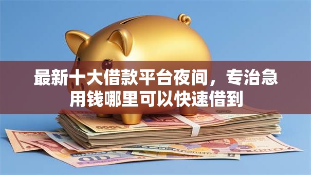 最新十大借款平台夜间，专治急用钱哪里可以快速借到