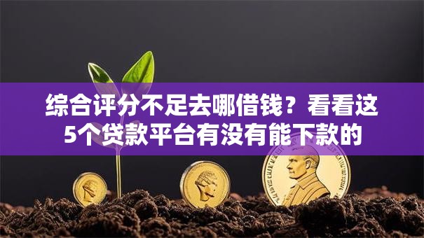 综合评分不足去哪借钱？看看这5个贷款平台有没有能下款的