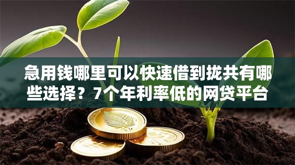 急用钱哪里可以快速借到拢共有哪些选择？7个年利率低的网贷平台详解