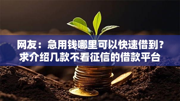 网友:急用钱哪里可以快速借到?求介绍几款不看征信的借款平台百分百通过 网友:急用钱哪里可以快速借到?求介绍几款不看征信的借款平台百分百通过