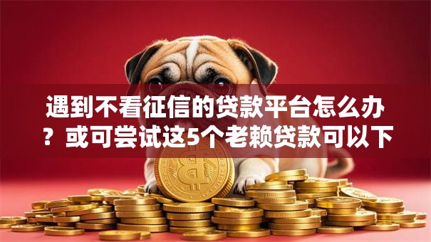 遇到不看征信的贷款平台怎么办?或可尝试这5个老赖贷款可以下的网贷口子 遇到不看征信的贷款平台怎么办?或可尝试这5个老赖贷款可以下的网贷口子