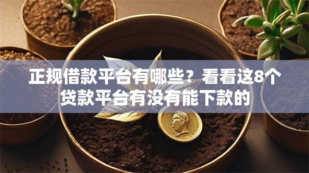 正规借款平台有哪些?看看这8个贷款平台有没有能下款的 正规借款平台有哪些?看看这8个贷款平台有没有能下款的