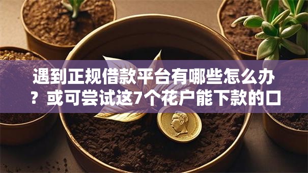 遇到正规借款平台有哪些怎么办?或可尝试这7个花户能下款的口子 遇到正规借款平台有哪些怎么办?或可尝试这7个花户能下款的口子