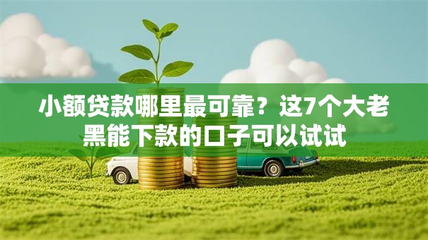 小额贷款哪里最可靠?这7个大老黑能下款的口子可以试试 小额贷款哪里最可靠?这7个大老黑能下款的口子可以试试