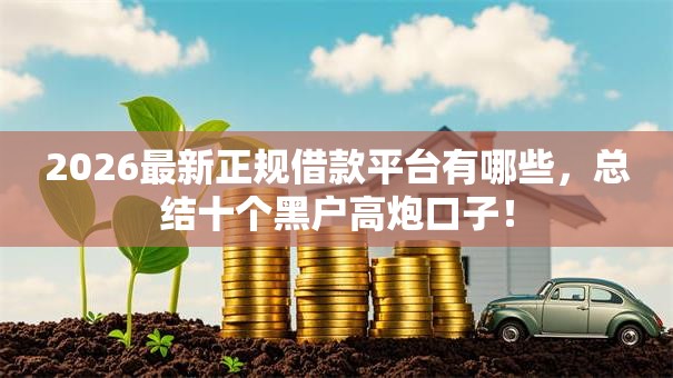 2026最新正规借款平台有哪些，总结十个黑户高炮口子！
