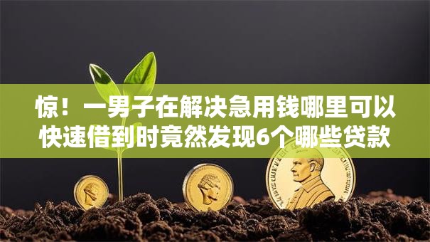 惊!一男子在解决急用钱哪里可以快速借到时竟然发现6个哪些贷款平台是正规的,事后分享了出来 惊!一男子在解决急用钱哪里可以快速借到时竟然发现6个哪些贷款平台是正规的,事后分享了出来