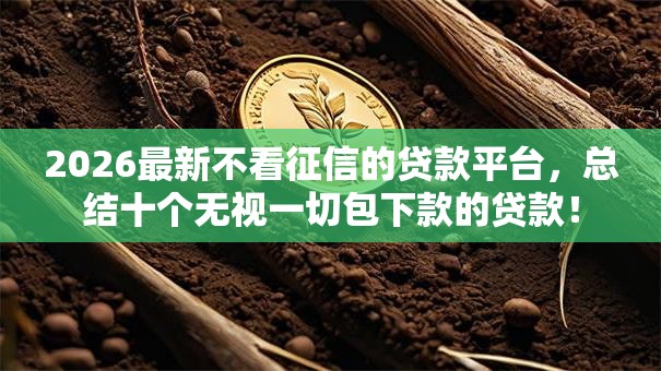 2026最新不看征信的贷款平台，总结十个无视一切包下款的贷款！