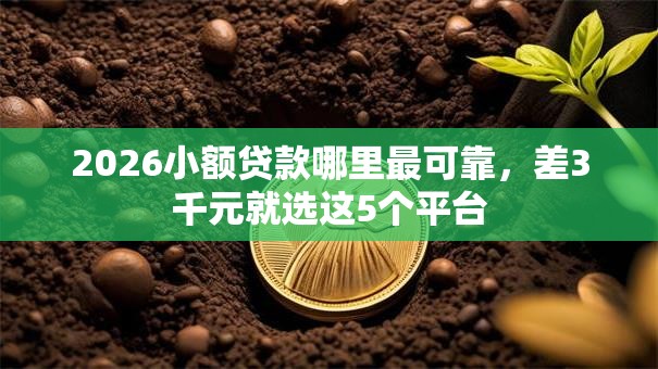 2026小额贷款哪里最可靠，差3千元就选这5个平台