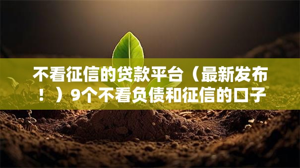 不看征信的贷款平台(最新发布!)9个不看负债和征信的口子 不看征信的贷款平台(最新发布!)9个不看负债和征信的口子