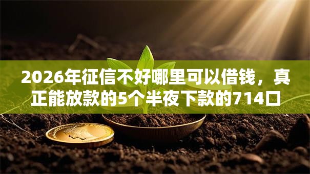 2026年征信不好哪里可以借钱,真正能放款的5个半夜下款的714口子推荐 2026年征信不好哪里可以借钱,真正能放款的5个半夜下款的714口子推荐