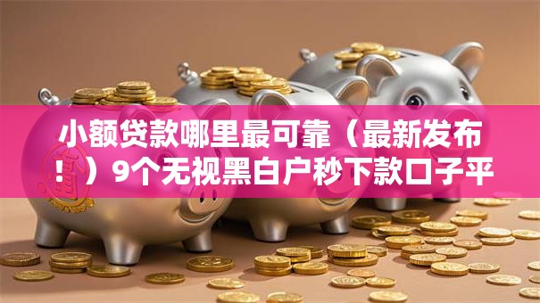 小额贷款哪里最可靠（最新发布！）9个无视黑白户秒下款口子平台