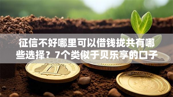 征信不好哪里可以借钱拢共有哪些选择？7个类似于贝乐享的口子详解
