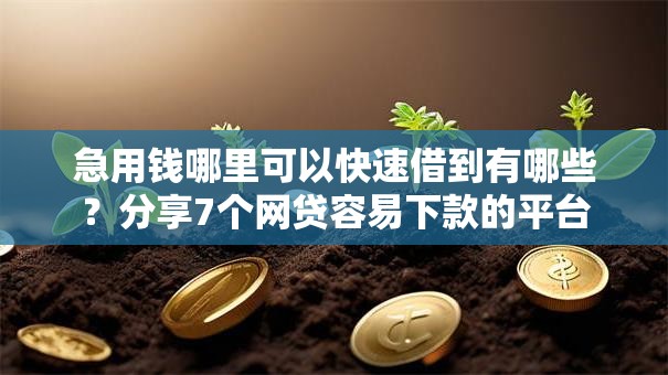 急用钱哪里可以快速借到有哪些？分享7个网贷容易下款的平台