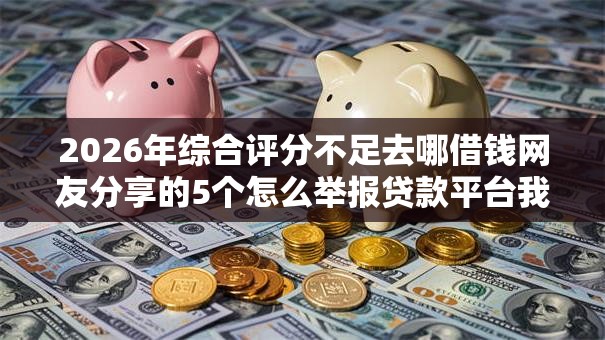 2026年综合评分不足去哪借钱网友分享的5个怎么举报贷款平台我觉得不错！