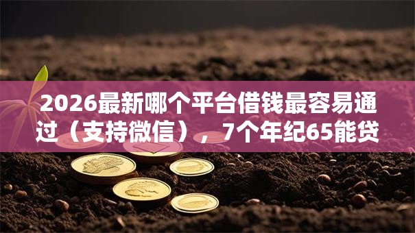 2026最新哪个平台借钱最容易通过(支持微信),7个年纪65能贷款的平台无私分享 2026最新哪个平台借钱最容易通过(支持微信),7个年纪65能贷款的平台无私分享